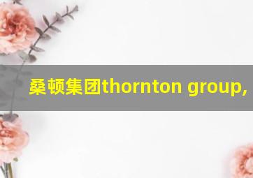 桑顿集团thornton group, llc